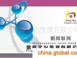 提供企业管理咨询服务