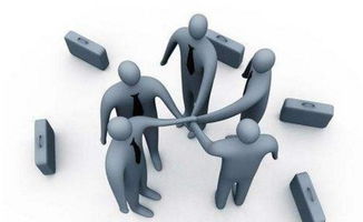 组织管理咨询的三大基本原则 构建高效能组织的基石